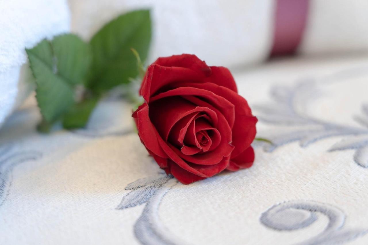 Royal Gardens Bed & Breakfast Caserta Ngoại thất bức ảnh
